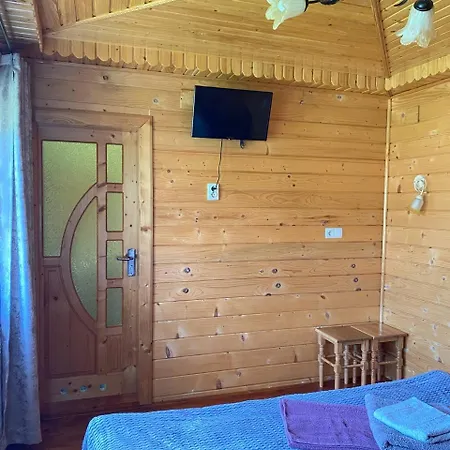 Guest house Tava House 2 Yaremche